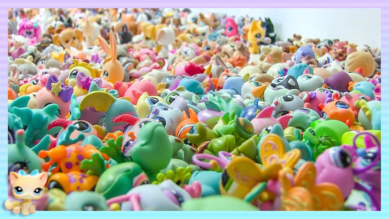 Organizing My Littlest Pet Shop Collection