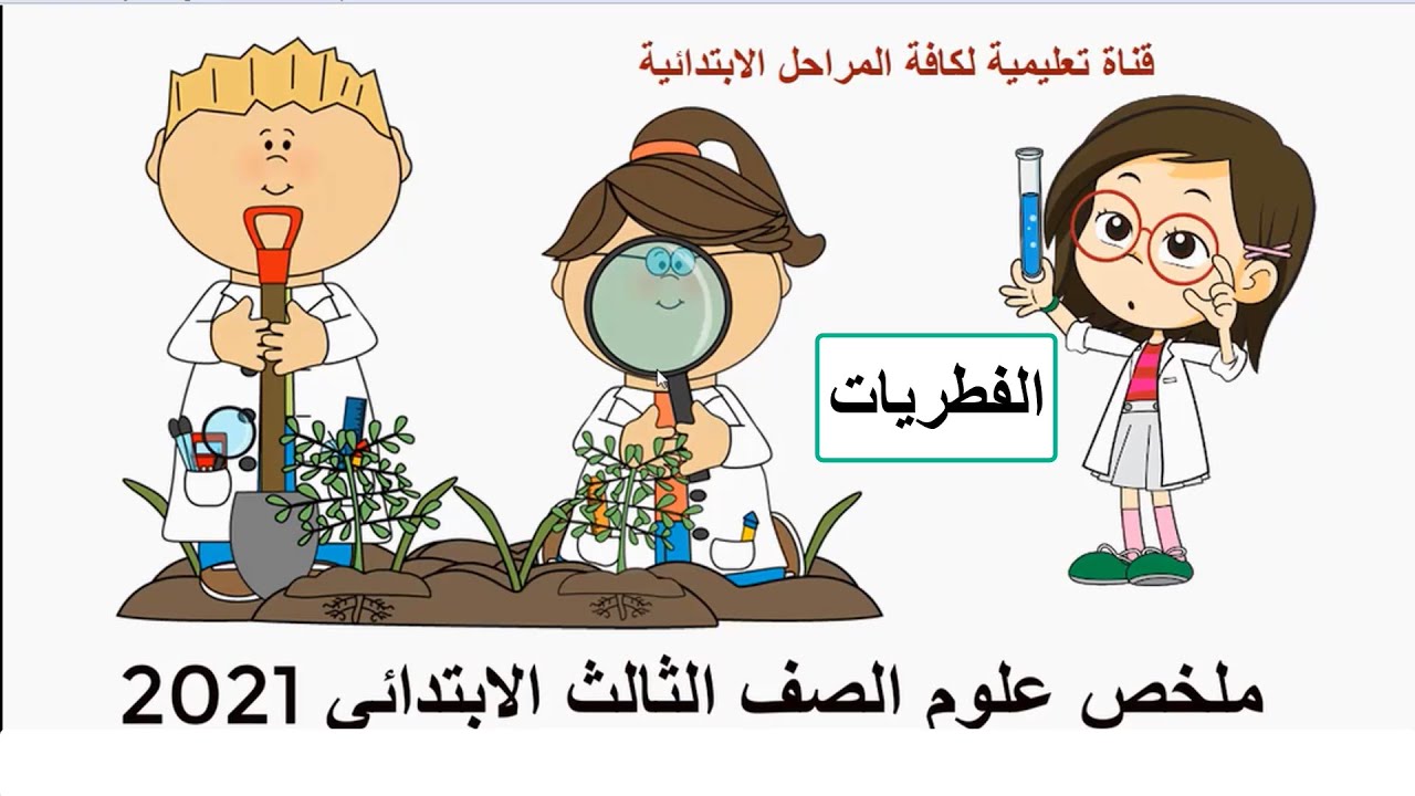 ملخص علوم صف الثالث الابتدائي 2021 الدرس الثاني الفطريات