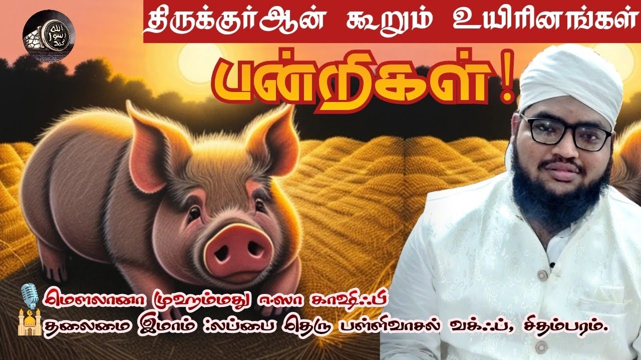 பன்றிகள் பற்றி அற்புத தகவல்! திருக்குர்ஆன் கூறும் உயிரினங்கள் #tamilbayan#tamilquran#islam#science 