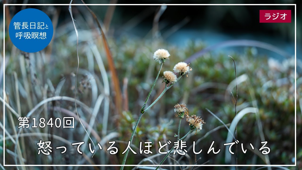 第1840回「怒っている人ほど悲しんでいる」2026/1/20【毎日の管長日記と呼吸瞑想】｜ 臨済宗円覚寺派管長 横田南嶺老師