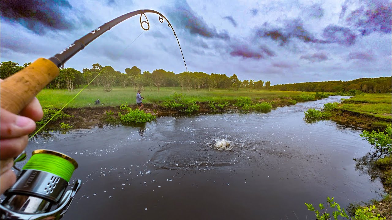 Не буду ловить рыбу, пока не съем баррамунди…