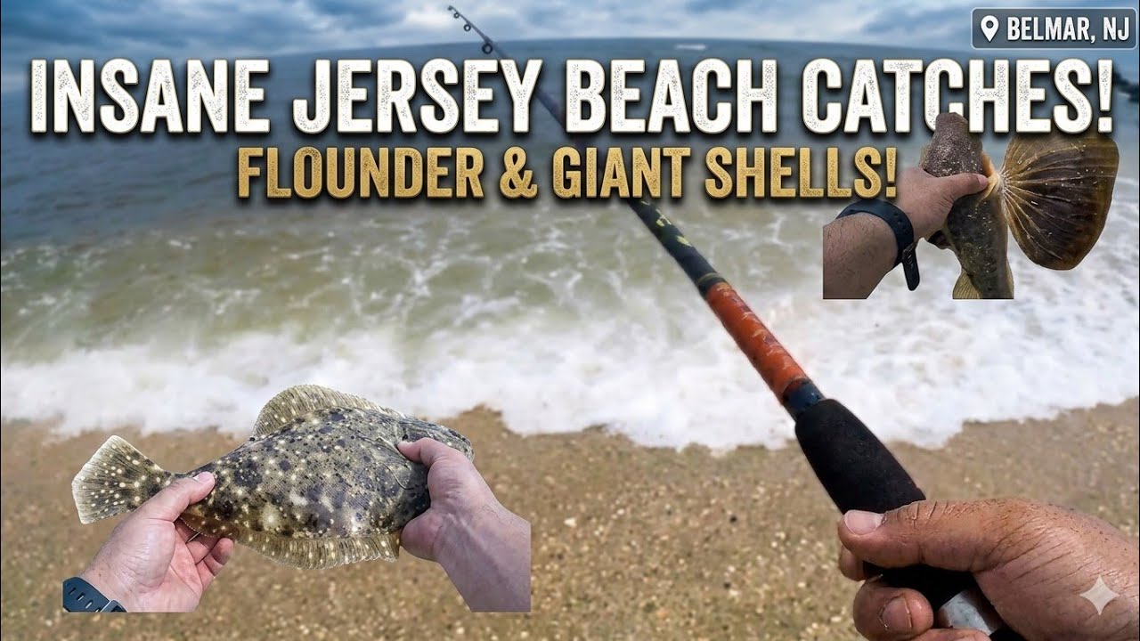 Insane Hits | Fluke fishing | Sandy Hook NJ