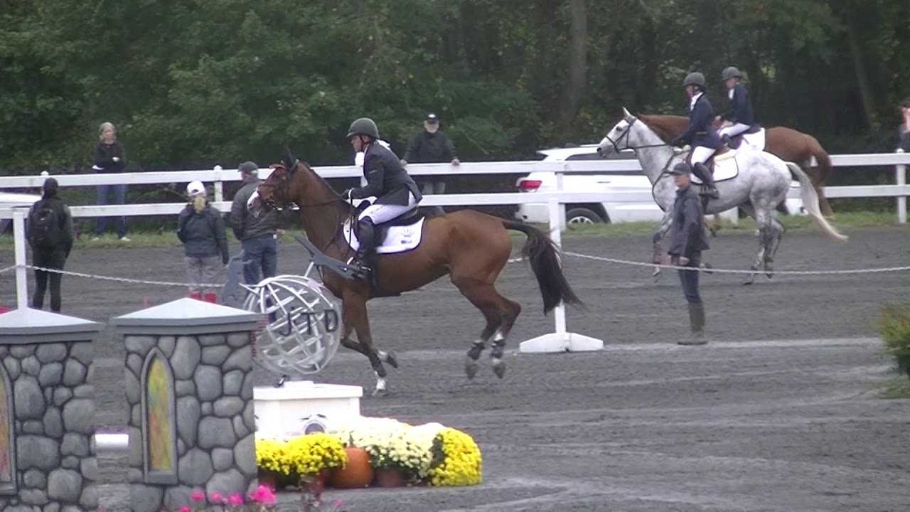 Buck Davidson & Errol Goby CCI 2 star SJ