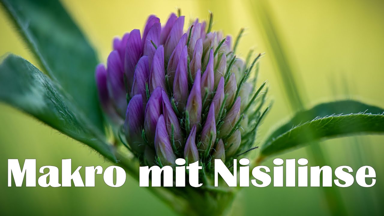 Landschaftsfotografie | MAKROOBJEKTIV mit Nisi Close up Linse