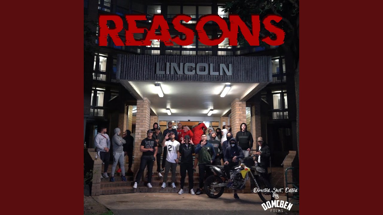 Reasons (feat. Shely210)
