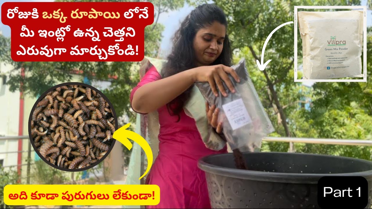 Composting without worms Part 1 #greenmixpowder #composting #compostbin