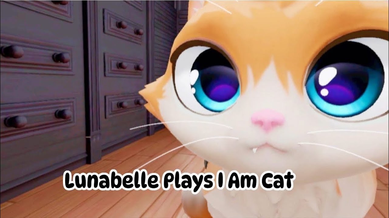 Lunabelle plays I Am Cat on VR 