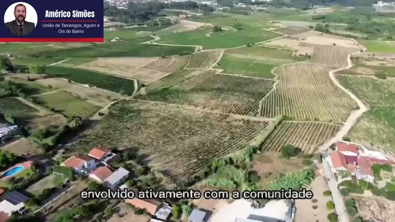 Tamengos Ois e Aguim