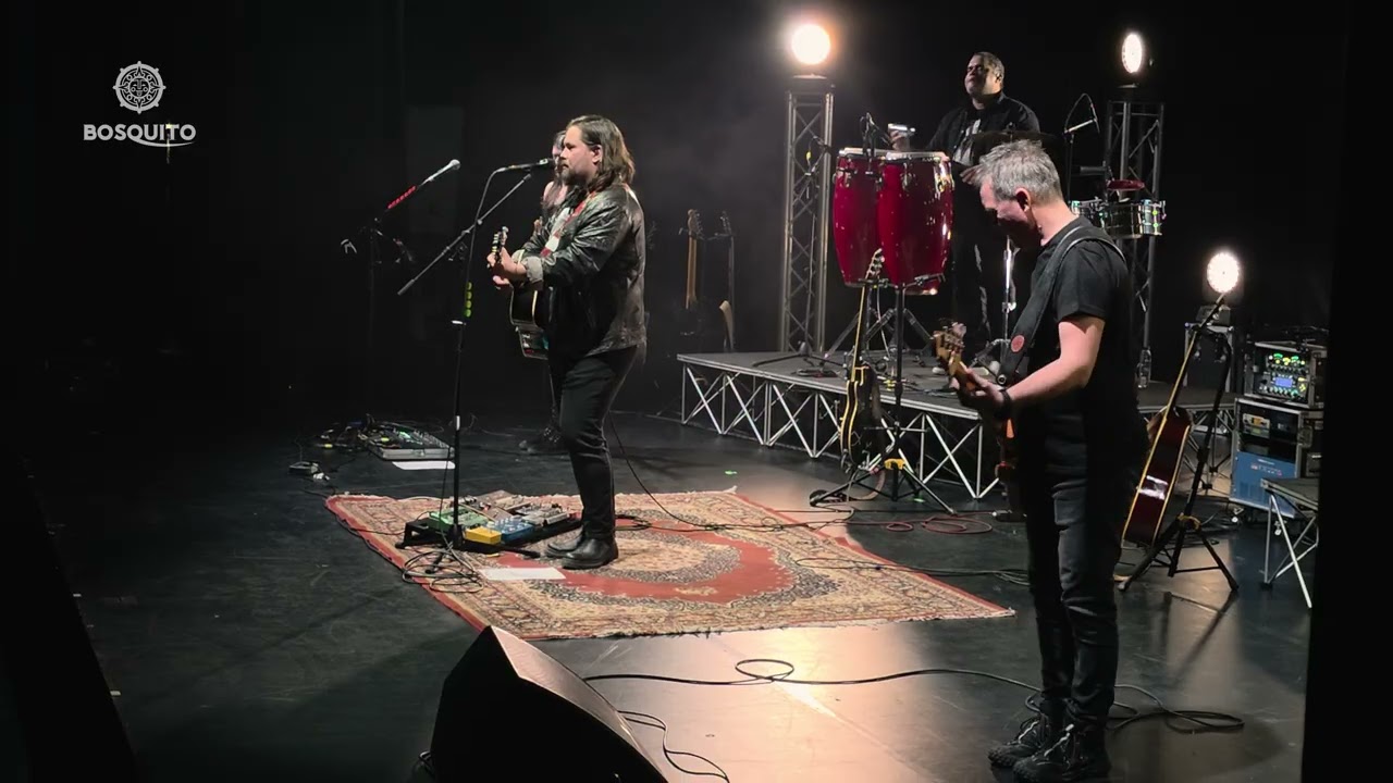 Bosquito live la Cinema Victoria Iași 