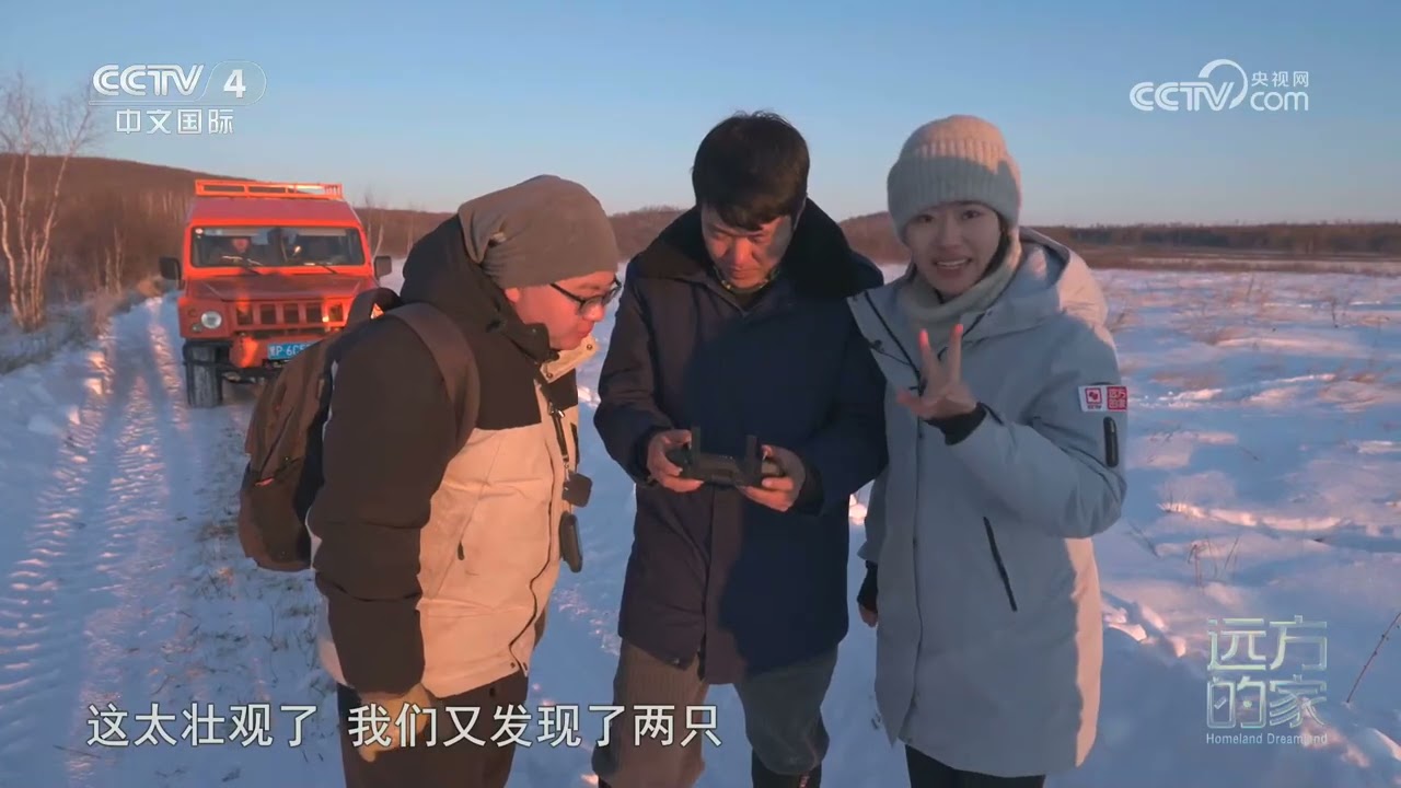 [远方的家]山河锦绣看中国——林海雪原 美丽家园 神奇驼鹿：森林中的“巨无霸” | 中华地图