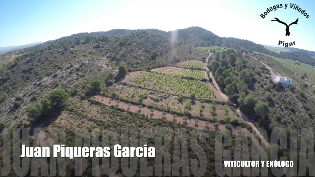 Bodegas y Viñedos Pigar, Utiel-Requena, Spain. Vineyards and Drone