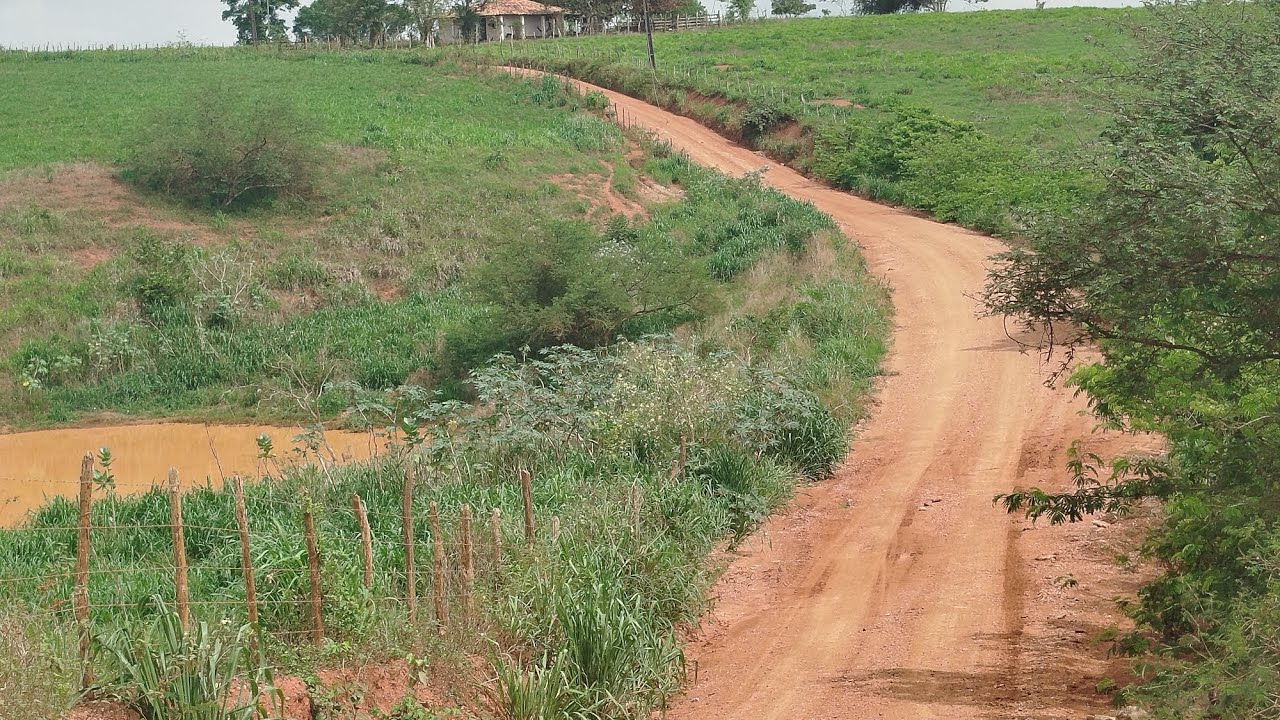A chuva chegou o cenário mudou o nosso sertão tá lindo 🥰🤩🌽🙏