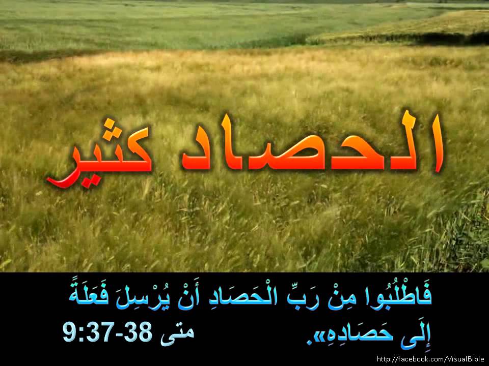 9:37-38 ﻣﺘﻰ | Matt 9:37-38 | Arabic