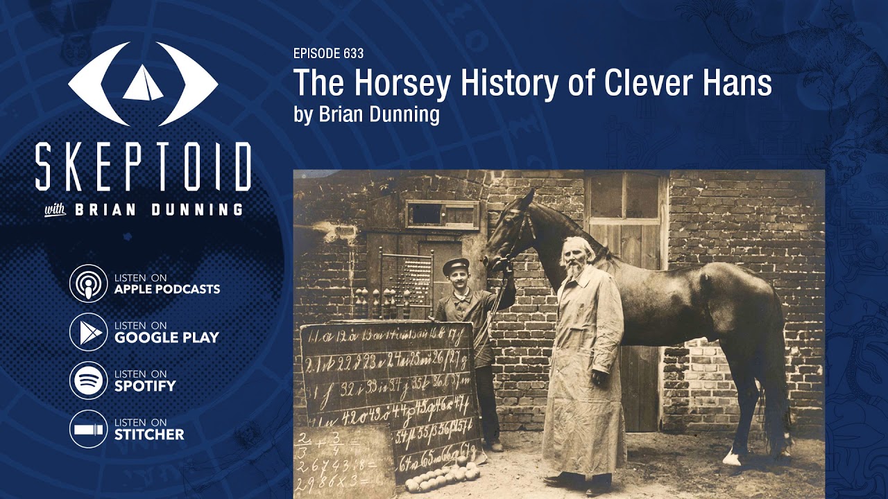 The Horsey History of Clever Hans