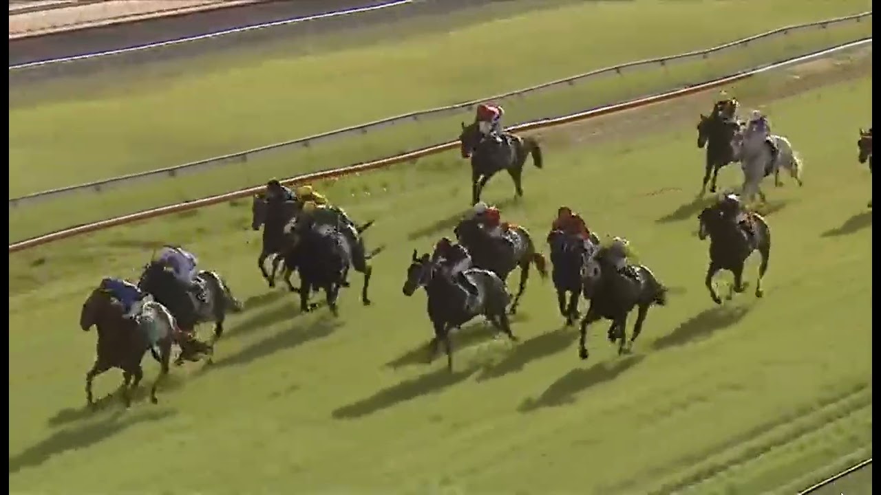 RACE 8 - TAMWORTH - AUSTRALIA 23 FEB 2026