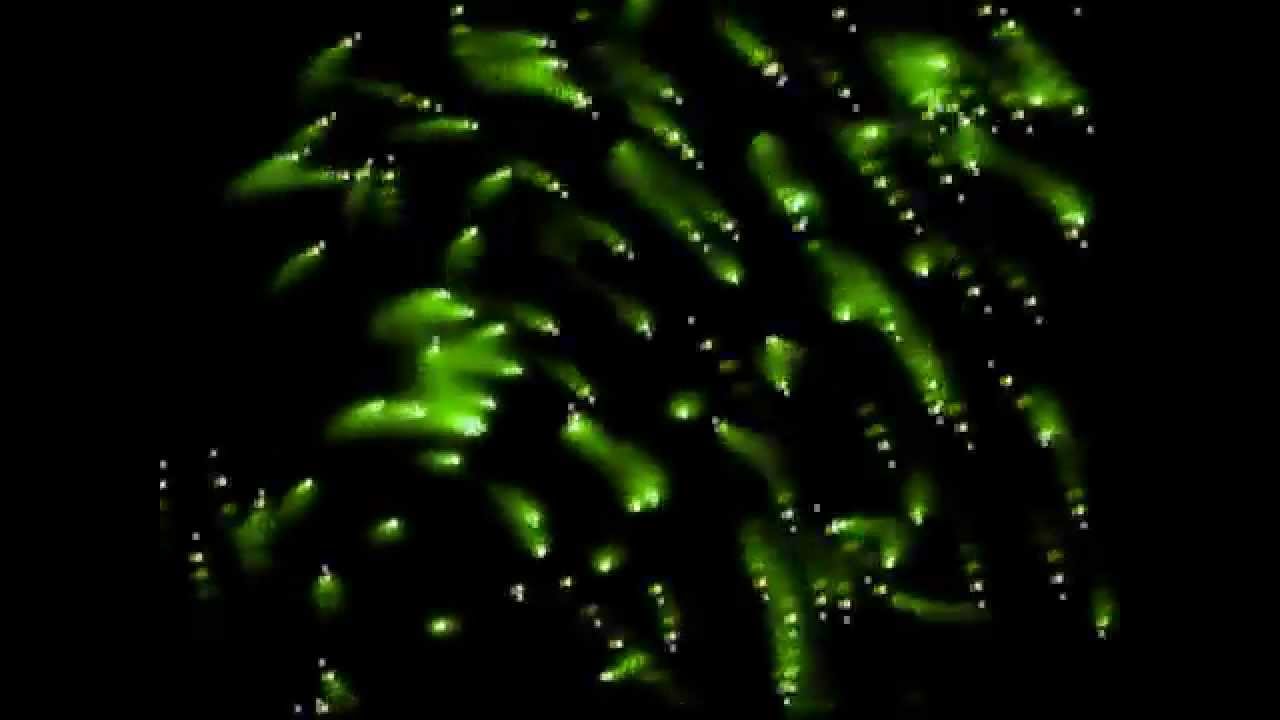 Nocturnal - more or less (1997) [60fps]