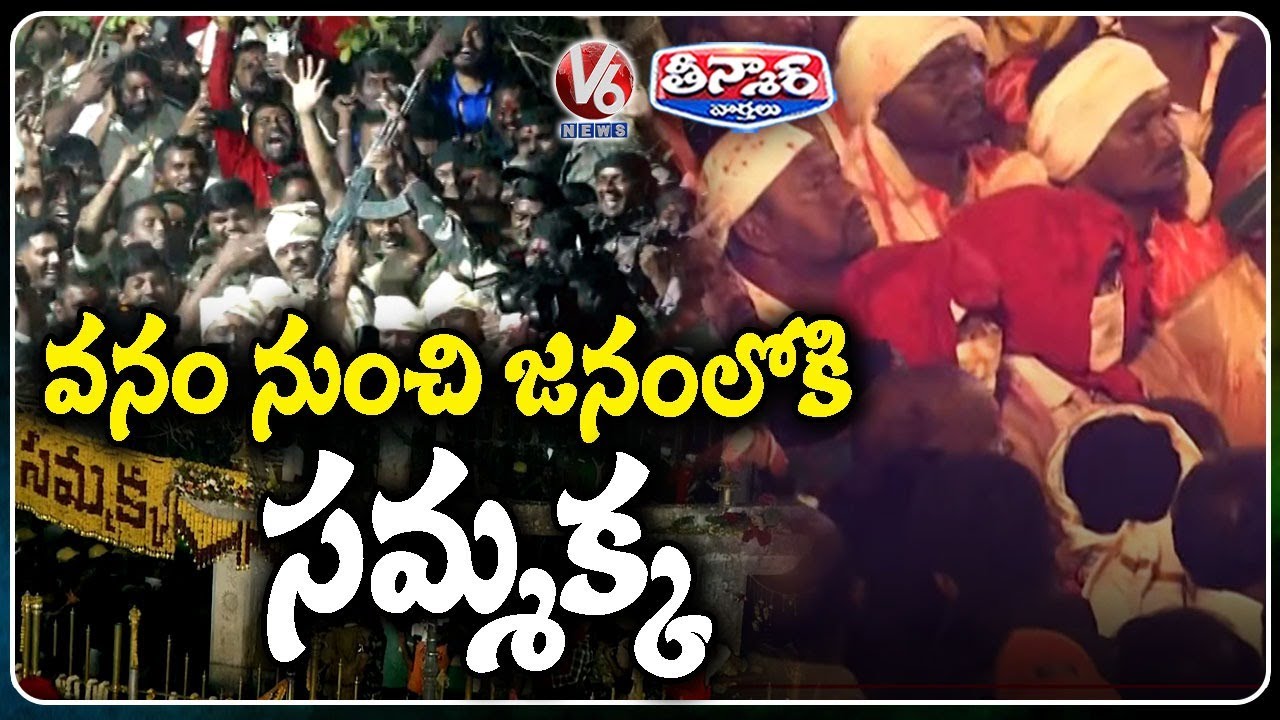 Devotional Fervour Soars as Sammakka Is Brought Down from Chilakalagutta Hillock | V6 Teenmaar