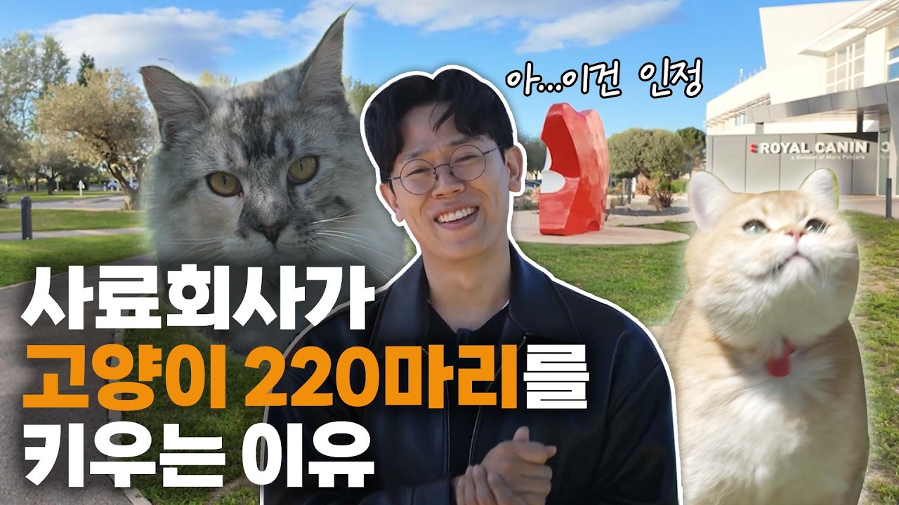 여기 다녀와서 애들 사료 싹 바꿨습니다