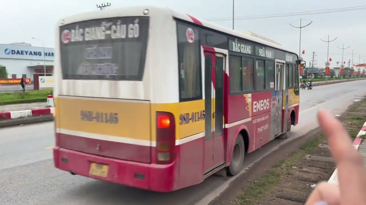 Chiều M6 Gửi 2 Con Vang X3 Đi Bắc Giang Cho Azai Chơi Xuân Giá Rất Rẻ Mà hay