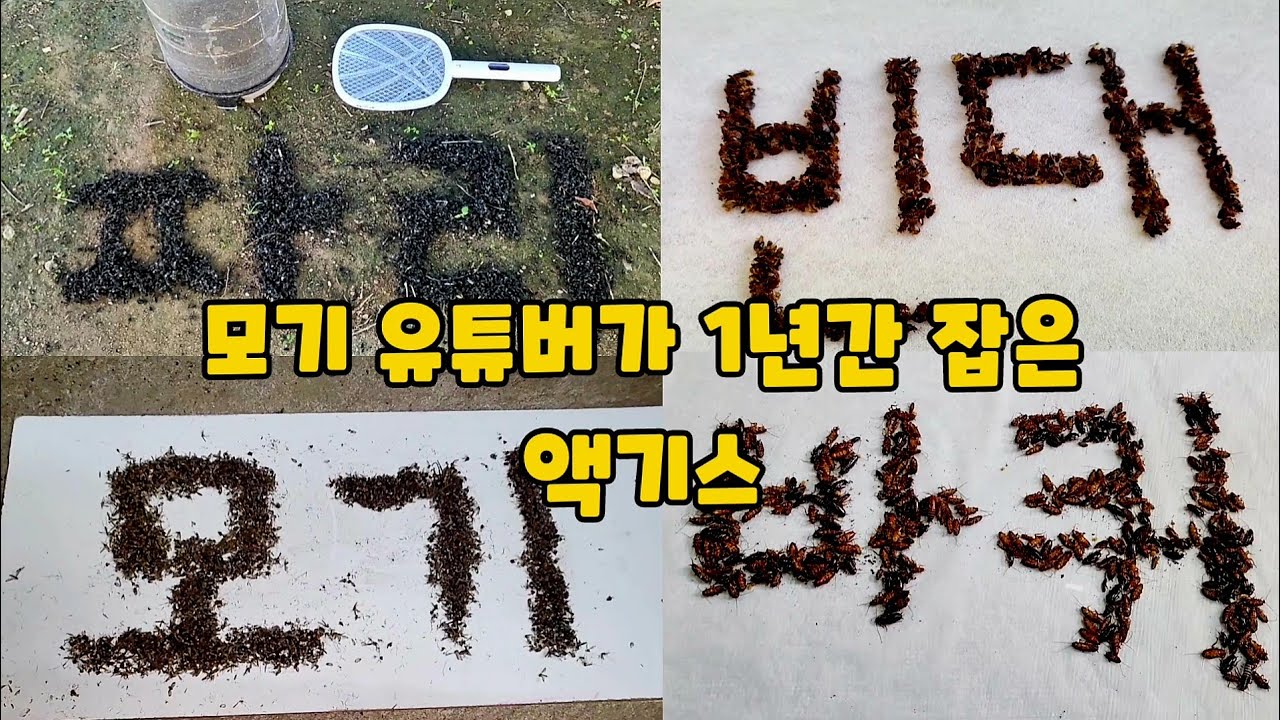 모기 유튜버가 23년 한 해 동안 잡은것들