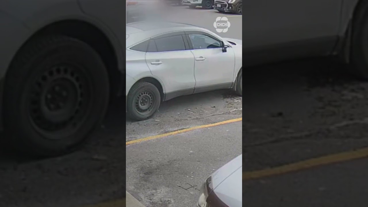 Hamilton police share videos of distraction thefts after dismantling criminal network