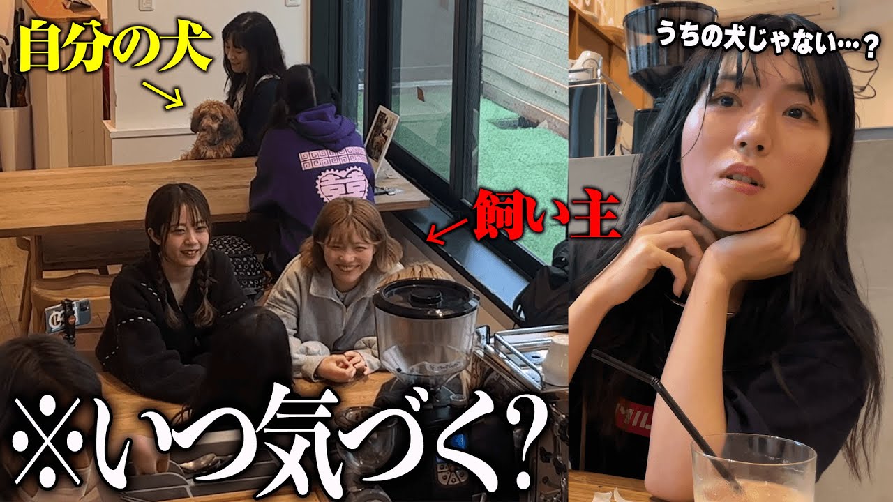 【検証】隣のお客さんが自分の犬を連れてたら、飼い主はいつ気づくのか？