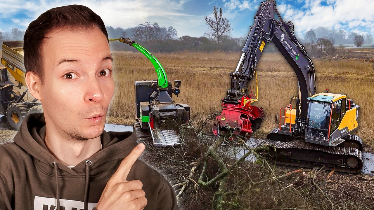 Gigantischer Forsteinsatz! Maschinen produzieren 25.000 Kubik Holz | Ansgar reagiert