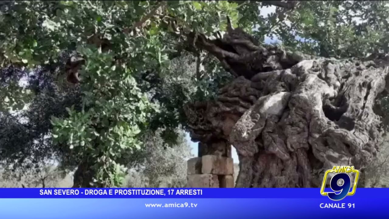 San Severo - Droga e prostituzione, 17 arresti