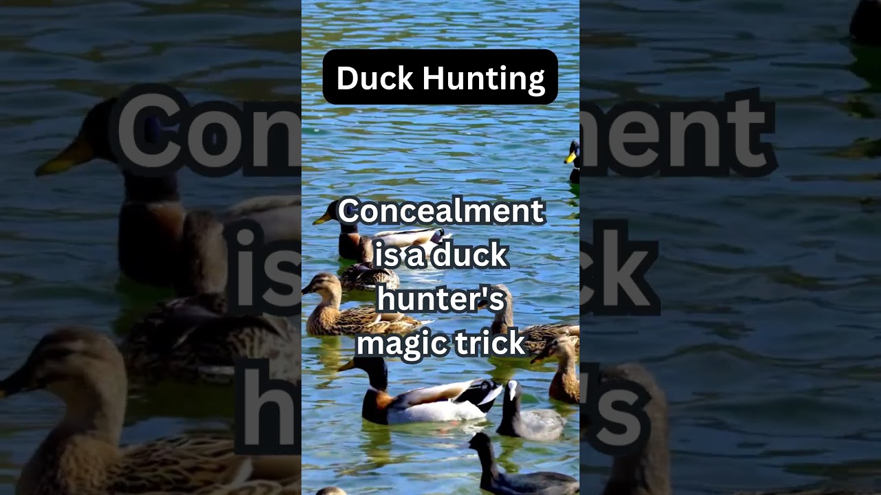 Duck Hunting Camo Fact #facts #duckhunting