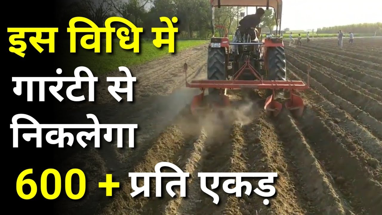 600+ प्रति एकड़ गन्ने की गारंटी डबल लाइन ट्रेंच विधि । Double line trench Vidhi ki buvai.