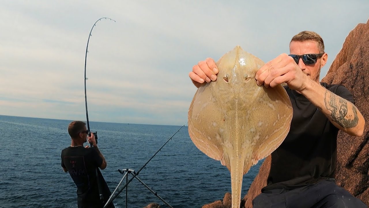 FISHING FROM THE ROCK OF THE BAY | SMALL EYED RAY | UK RAY FISHING