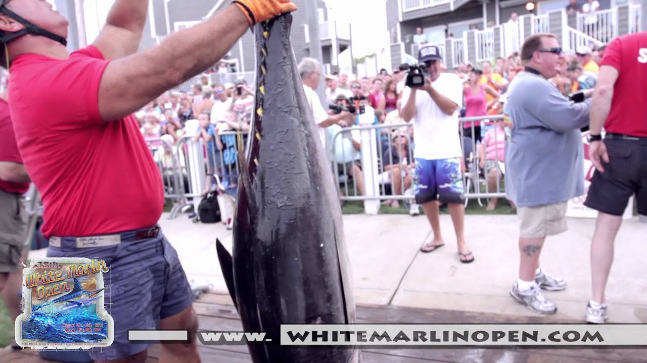 White Marlin Open 2012 - 