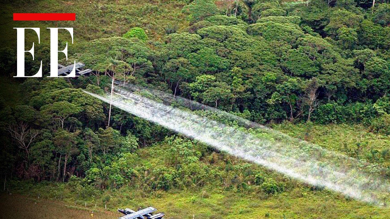 La huella del glifosato en Nariño | El Espectador