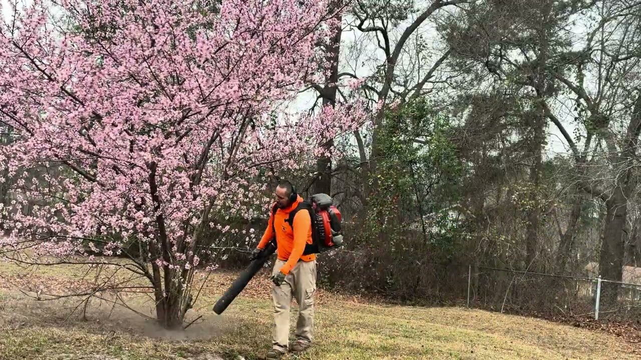 	Yard FULL of Leaves… Watch This Satisfying Cleanup! 🍂