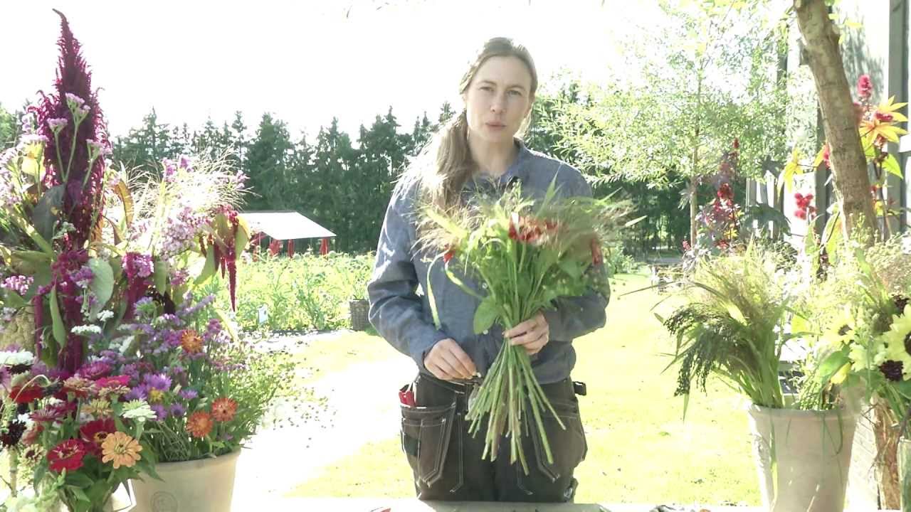 Frilandets blommor