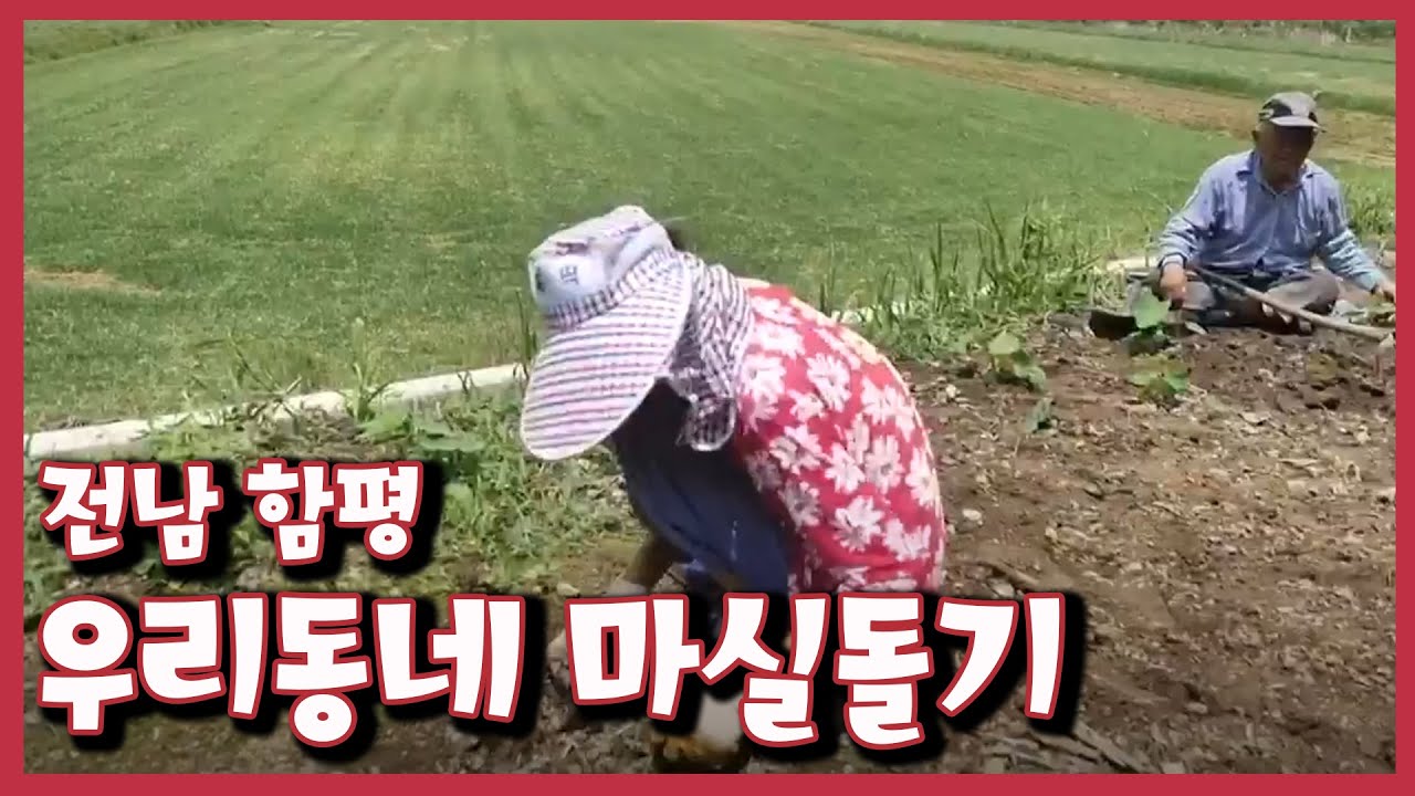 [남도지오그래피] 우리동네 마실돌기, 전남 함평｜KBS 210628 방송