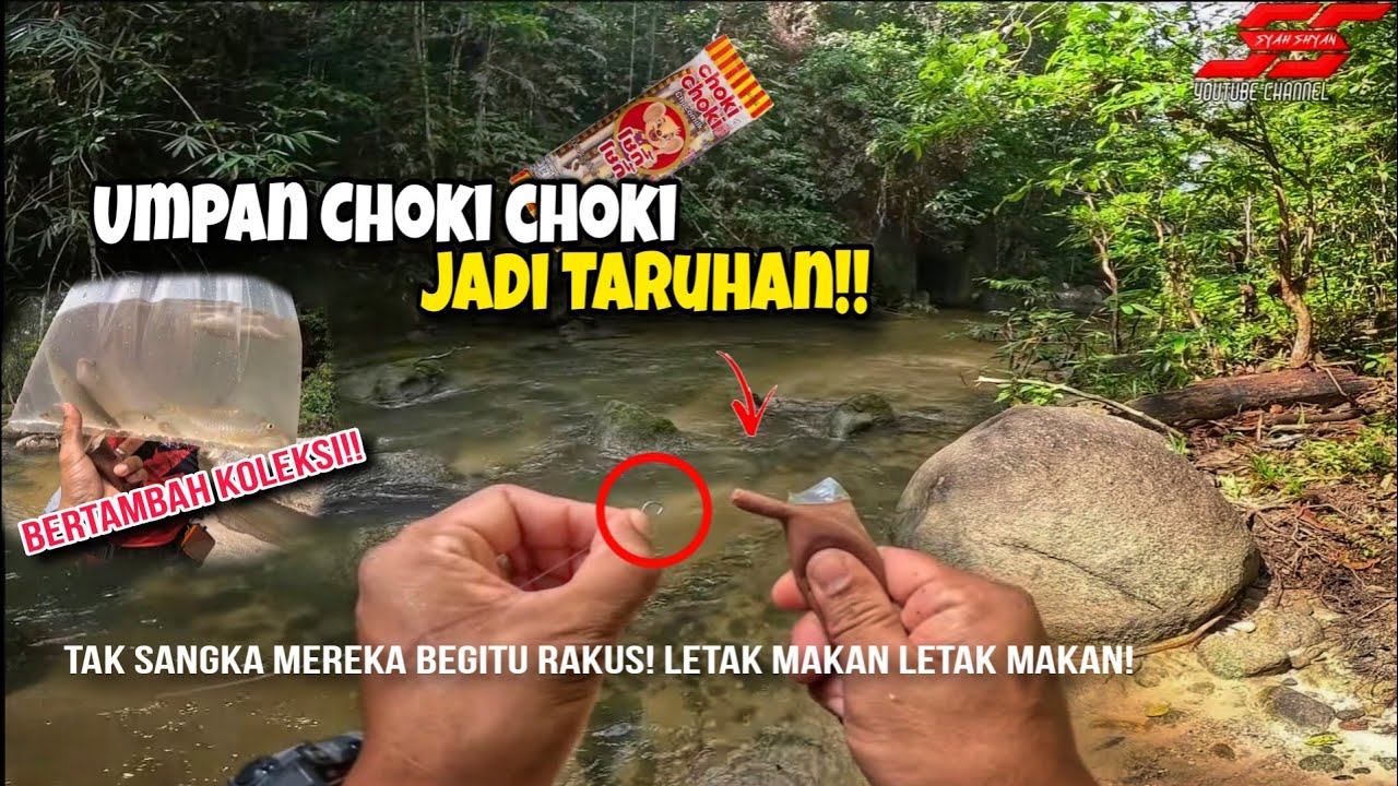 Ikan Makan COKLAT 🍫⁉️ Makin Lama Makin Pelik‼️