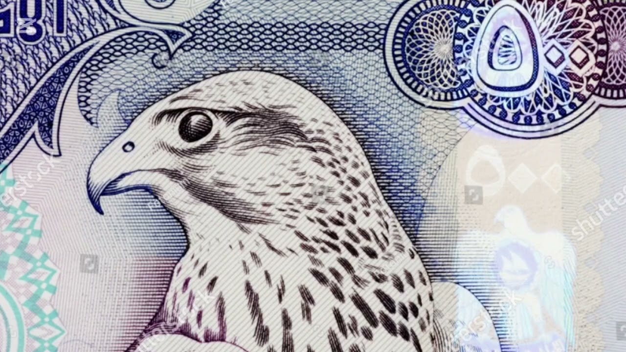 Sharafa mallaqaa Kan guyyaa har'aa akkaasi fakkaata 💵February 10