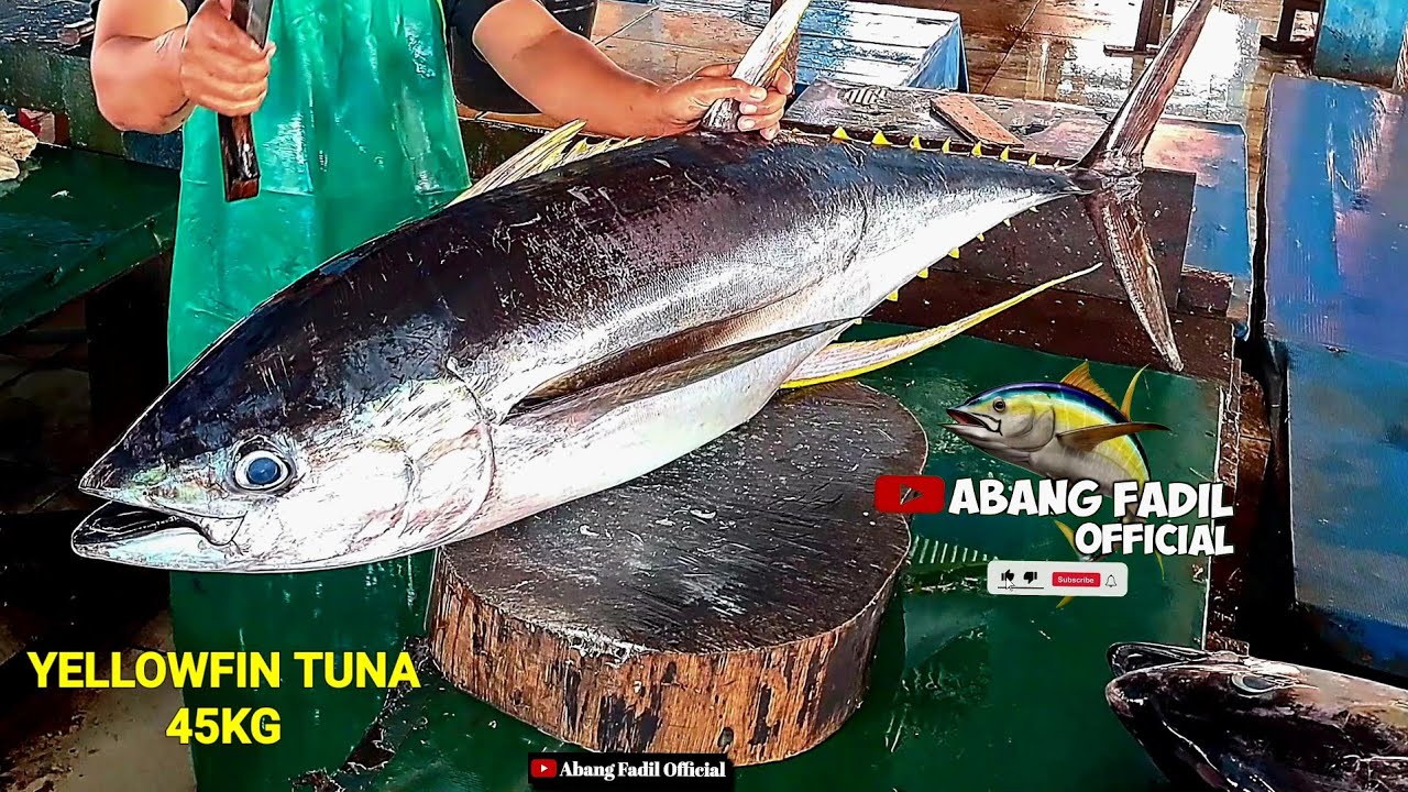 Amazing cutting Skills‼️Abang Fadil Memotong Big TUNA Ukuran 45kg pesanan RM Ratu Rasah!!!