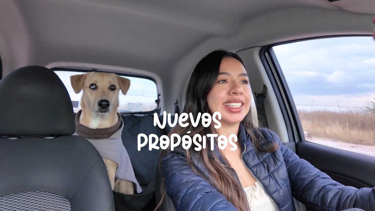 Propósitos 2025: ¡A Conducir y a Poner Todo en Orden!