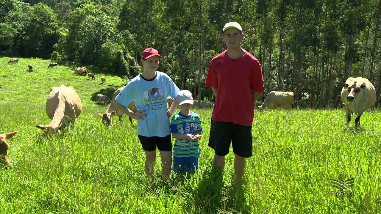 A rotina de quem produz leite - vídeo sobre a atividade leiteira