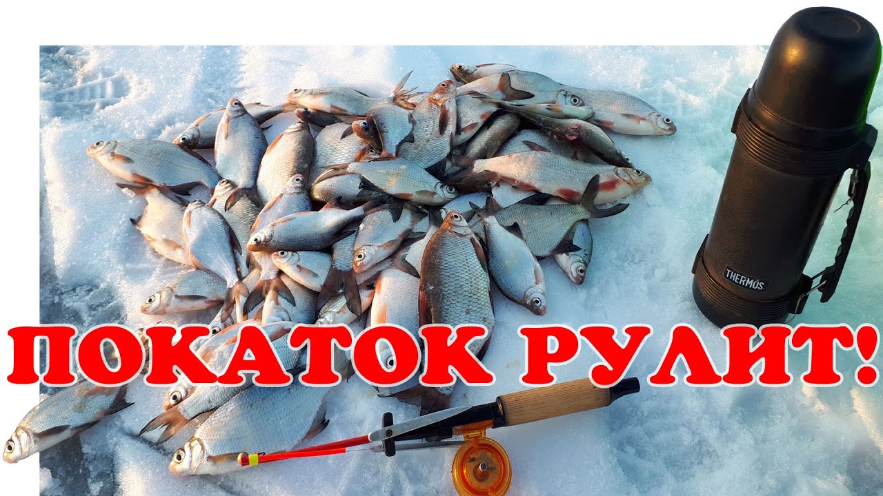 Рыбалка на Покаток ▶ Зимняя рыбалка (ч.1) | #Vovabeer