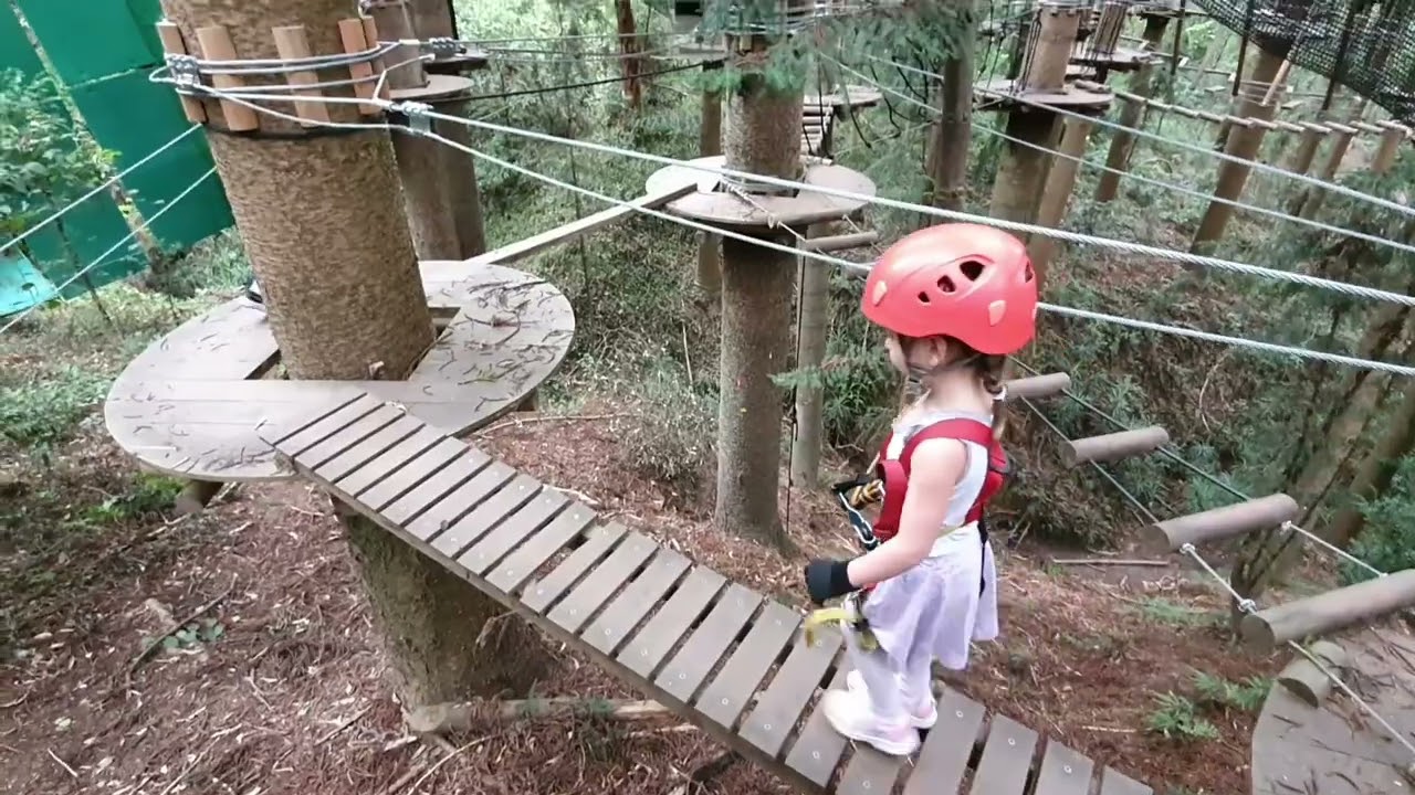 Treetops adventure for kids - The Hills (West Pennant Hills Sydney)