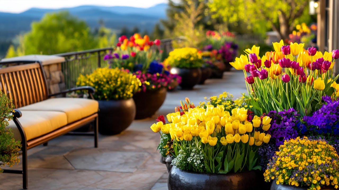 25 Dutch Tulip Garden Ideas That Wow - Will Make You Want To Visit This Country