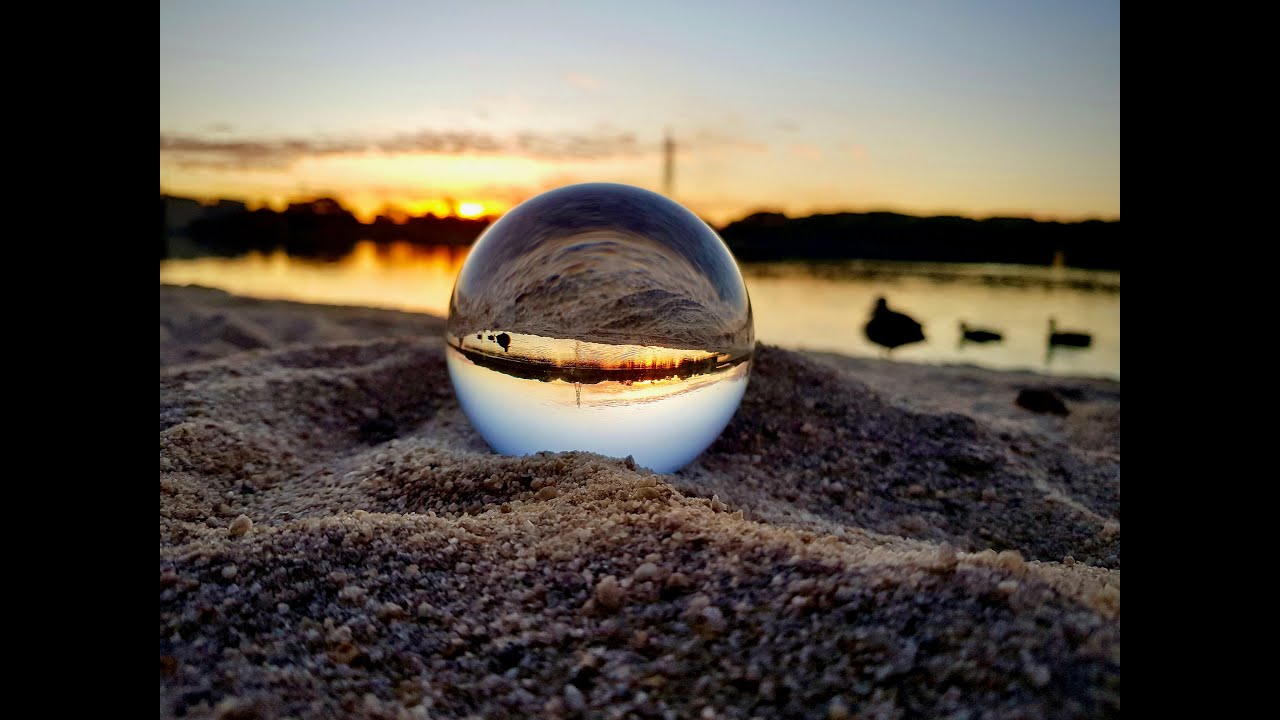 First Friday's talk, with special guest Shea Stewart, on all things Telepathy Tapes.