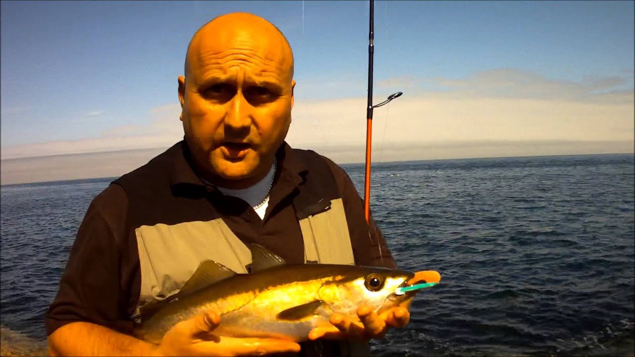 Lure fishing for Pollock