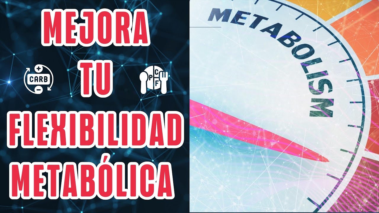 Mejora Tu Flexibilidad Metabólica
