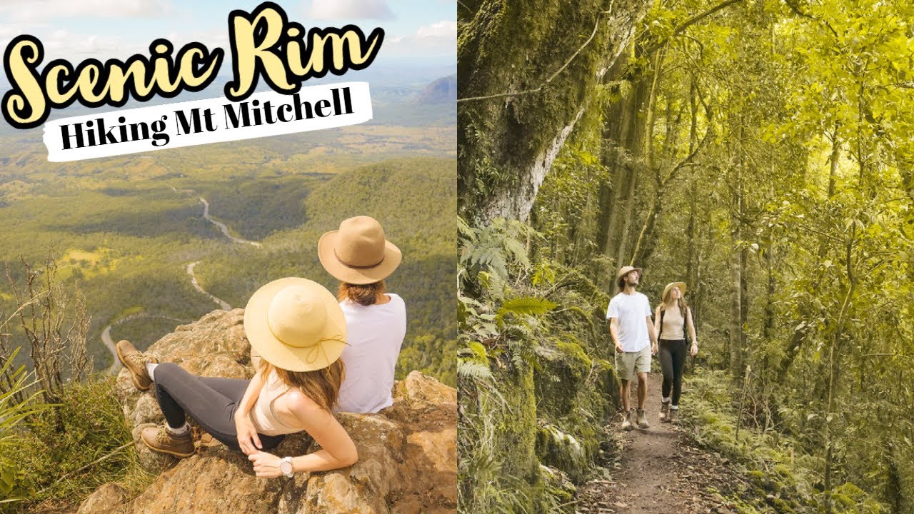 Epic Scenic Rim Hike - Mt Mitchell | Queensland Adventure Travel Vlog |Main Range National Park