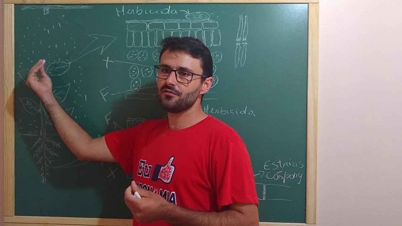 Vídeo aula de Absorção e translocação de herbicidas
