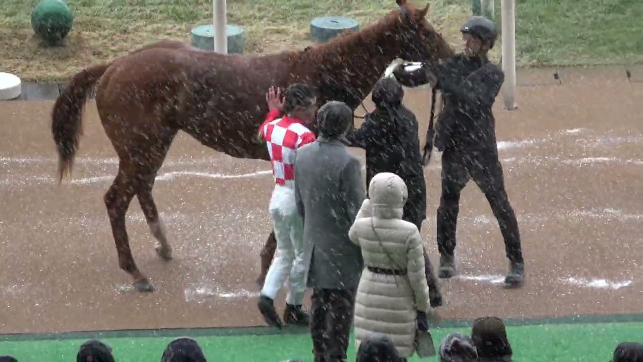 【2026年02月07日】【東京7R】マジッククッキー号＠東京競馬場